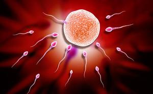 Sperm detection